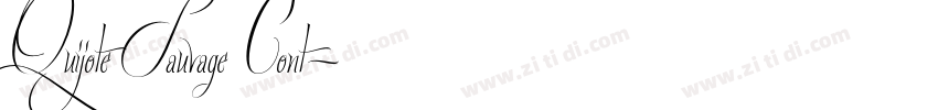 Quijote Sauvage Cont字体转换